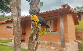 Villa Nova Chales