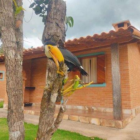 Villa Nova Chales Lima Duarte Exterior foto