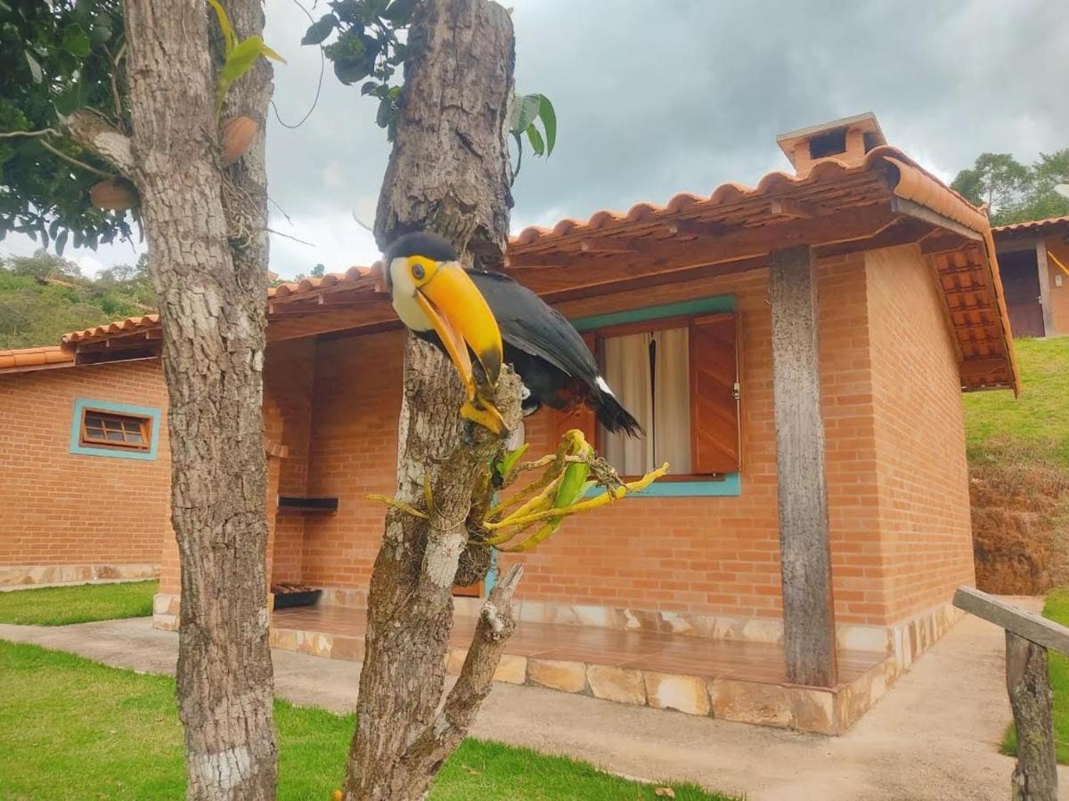 Villa Nova Chales Lima Duarte Exterior foto